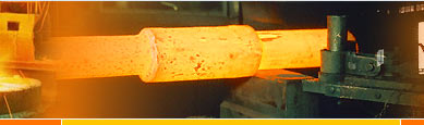 Lovson Exports Ltd, Mumbai, India